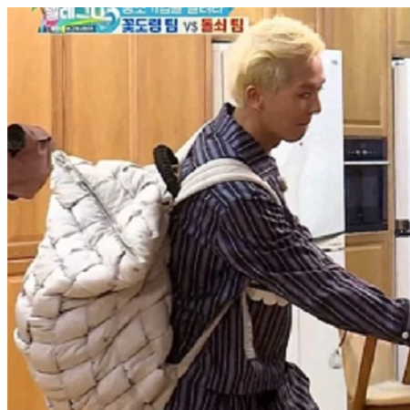 보테가베네타 패딩 백팩 플래스터 (송민호 착용)