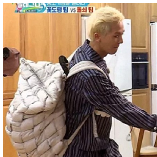 보테가베네타 패딩 백팩 플래스터 (송민호 착용)