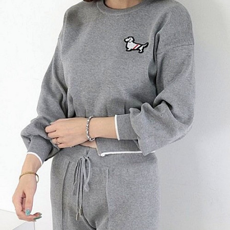 톰브*운 도그자수 트레이닝 세트