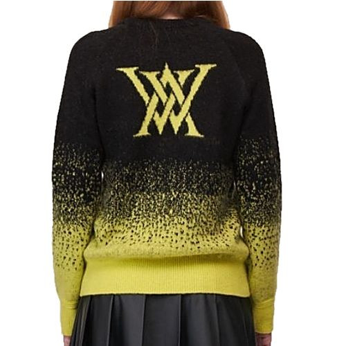 어* ANEW GOLF 그라데이션 스웨터