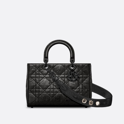 DIOR Lady D-Sire My ABCDior 미디엄 백