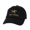 Palace X 아크테릭스ARCTERYX 로고 볼캡
